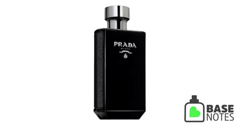 basenotes prada l& 39|Prada L'Homme Intense .